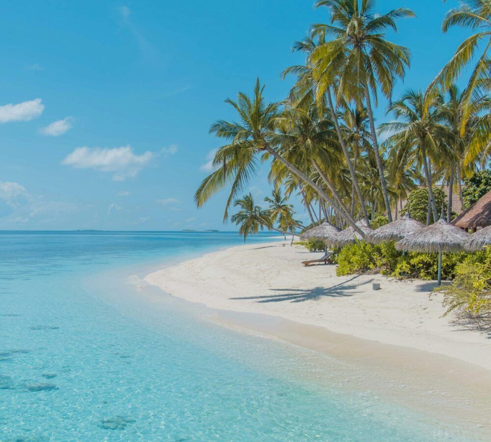 Earth_Changers_'s tweet photo. #TravelTuesday #WorldOceansDay + New #Trips
Ready to swap the ordinary for something #extraordinary?
Your next #sailing #adventure starts hereโฆ
๐ #Caribbean chill? #Sail Aruba to #Panama for palm-fringed anchorages and laid-back #islandlife.
More
https://t.co/r4dwqrvwhQ https://t.co/o9SizboD9j