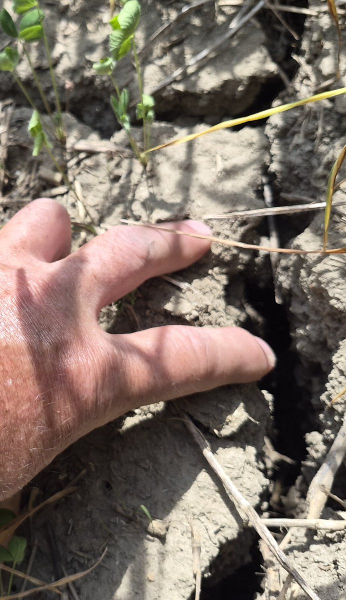 cropdoc2 tweet picture
