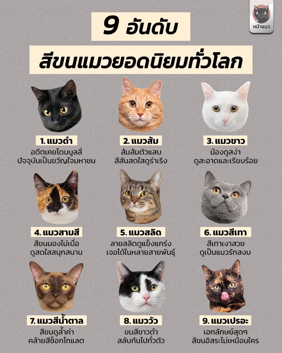 เฮียนัทแม่เรียกไปล้างจาน tweet media