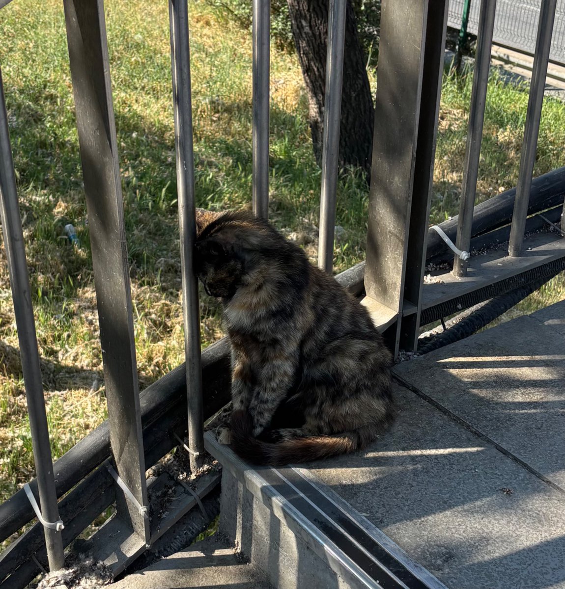 muniktikri's tweet photo. Kım zorbaladı seni Allah onları bildiği gibi yapsın https://t.co/VUlTytDkls