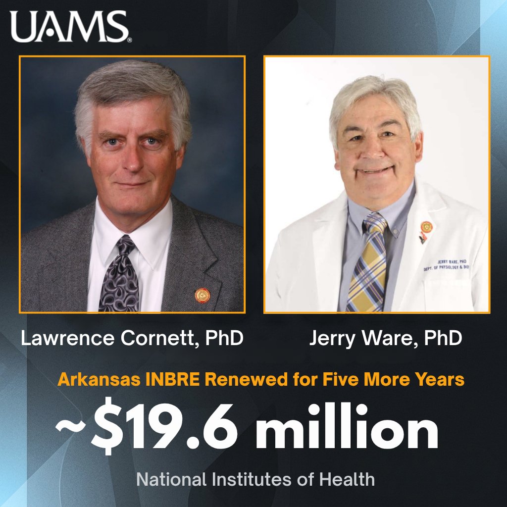 uamsresearch's tweet photo. $19.6M renewed. 5 more years. 16 partner campuses. 1 mission: build Arkansas's next generation of biomedical researchers.
Arkansas INBRE has connected @UAMS with undergraduate institutions since 2001 — growing students into scientists. 
#ArkansasINBRE #NIHFunded #UAMSResearch https://t.co/utjjo37JJc