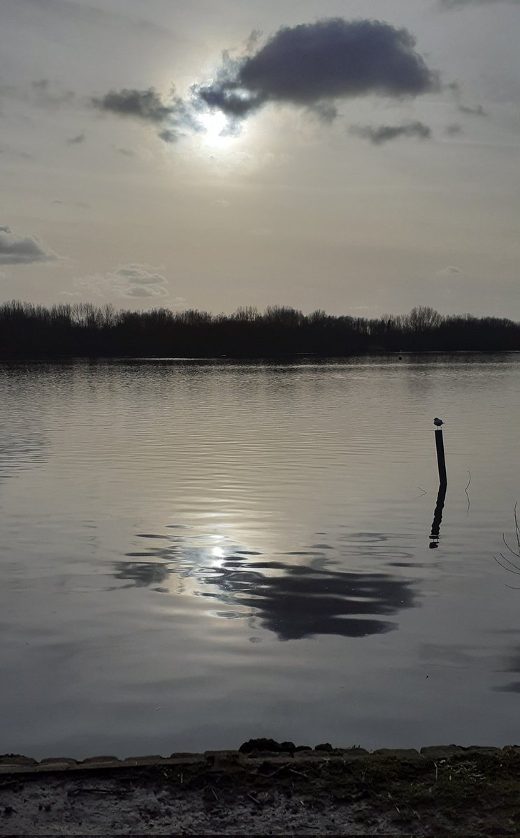johnwxxiv's tweet photo. #alphabetchallenge #WeekWforWater
#Penningtonflash #nationalnaturereserve #leigh #johnwswalks https://t.co/l55zcnCPQ1
