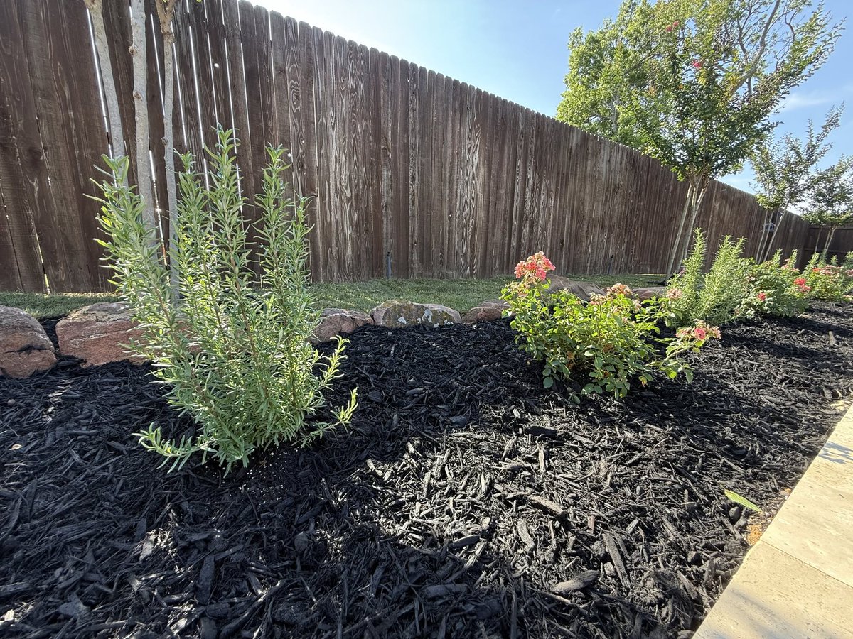 lwlandscapingtx's tweet photo. Fresh landscaping install completed 🌿

Custom stone borders, fresh mulch, colorful flowers, clean sod, and backyard enhancements;  another outdoor space transformed by LW Landscaping.

#Landscaping #CurbAppeal #OutdoorLiving #TexasLandscaping #LawnCare https://t.co/RcFhkDgIUa