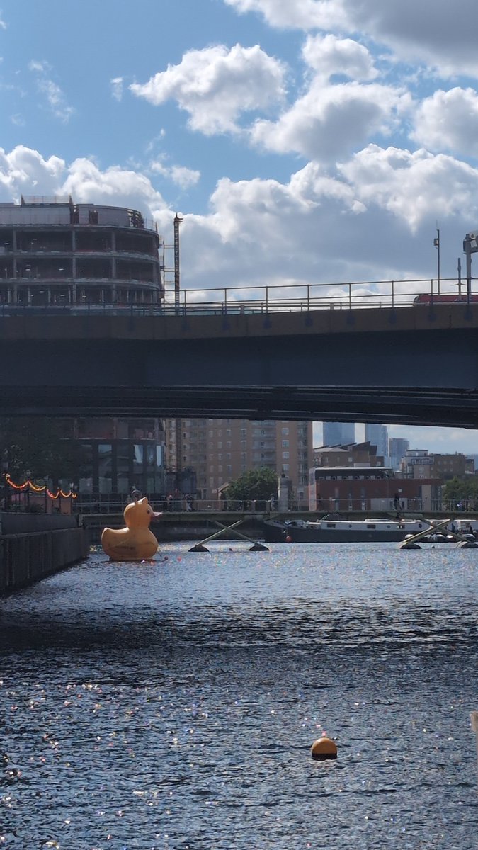 ShimDashJim's tweet photo. The best part of my day ending work in London is spending time with my duck friend. https://t.co/F77TdahRuE