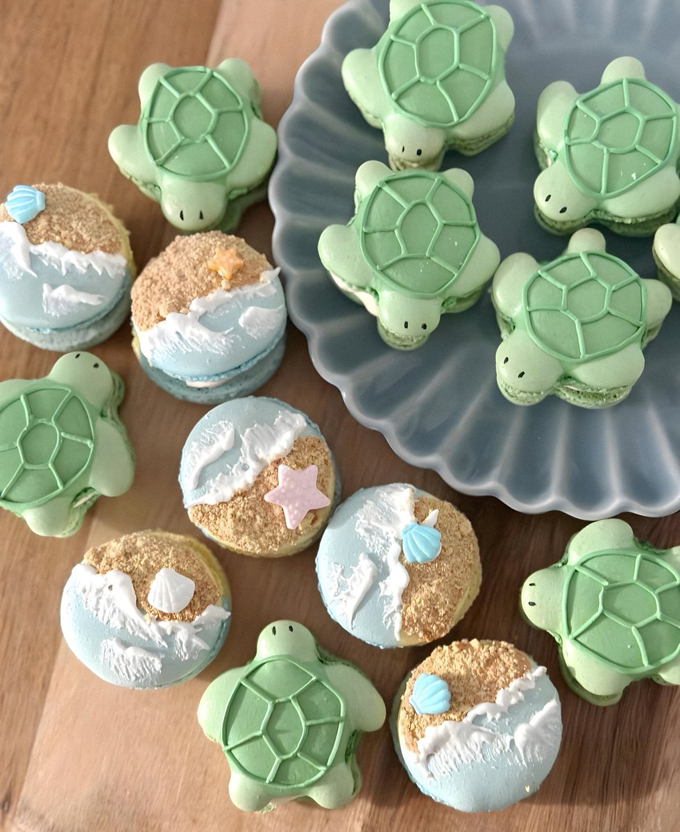 gardenofcolours's tweet photo. turtle macarons 🐢💚 https://t.co/8nXeQv7WKi