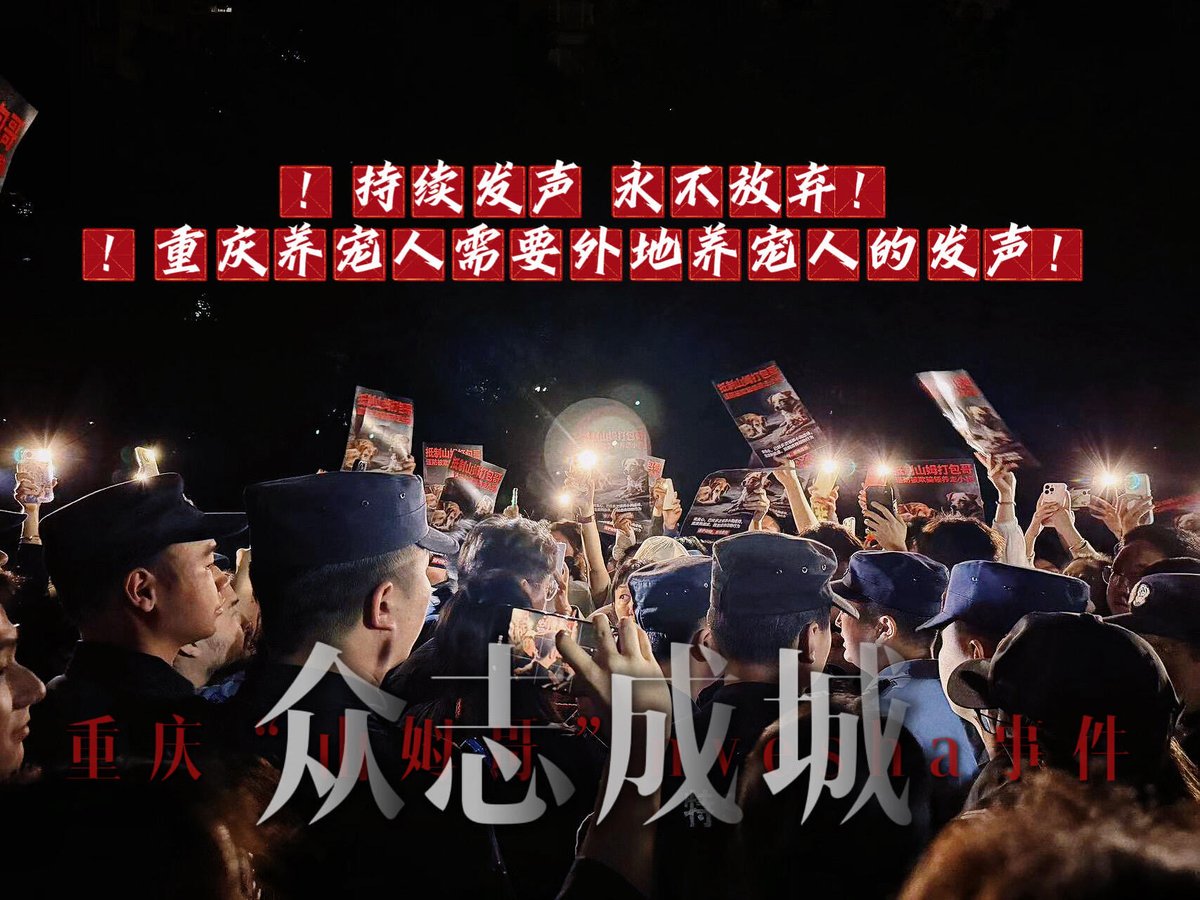 YesterdayBigcat's tweet photo. 这两天在做《重庆事件》的纪录片，所以没有时间发其他的。 https://t.co/CgfZzxDQcX