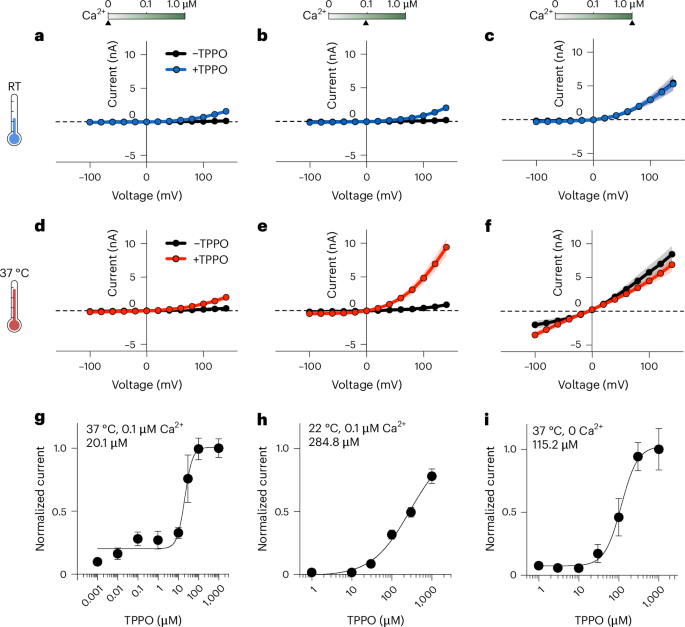NatureSMB's tweet photo. New online! Temperature and intrinsic Ca2+ reshape TRPM4 pharmacology https://t.co/Tw8p0H1CfU https://t.co/Ng7kfWAdr6