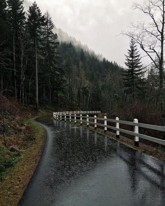 lilyavibe's tweet photo. the weather i crave for: https://t.co/20omaLtzhf