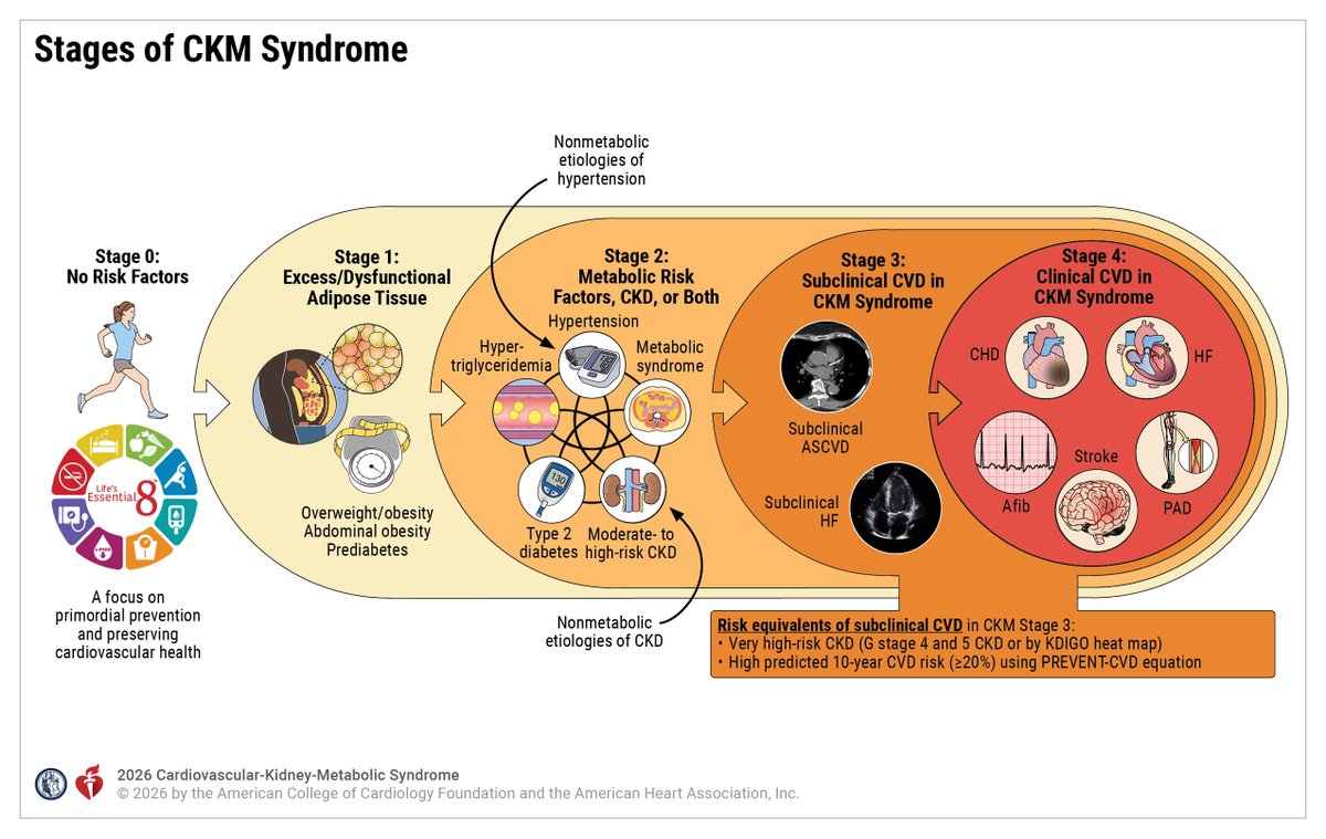 AHAScience's tweet photo. Published today, the first-ever clinical practice guideline on cardiovascular-kidney-metabolic syndrome from the American Heart Association and @ACCinTouch. 

Cardiovascular-kidney-metabolic (CKM) syndrome staging is recommended for youths and adults to prevent CKM syndrome stage progression, to tailor therapy to absolute risk, to reduce cardiovascular events and loss of kidney function across the life course, and to promote CKM syndrome stage regression through lifestyle changes and weight loss.

The diagnosis of CKM syndrome stage requires assessment of metabolic health, kidney function, and cardiovascular risk factors, which enhances the identification of frequently unrecognized or asymptomatic CKM conditions. 

✍🏼 @ChiadiNdumele @HeartDocSadiya @kardiologykazi @noshreza @virani_md @biykemb @NutritionHF @mandeepbajaj65 @KatherineTuttl8 @RangaswJ @lisaVWMD @KBreathettMD @EmoryFamMed @ShoaClarke @mad_sters @jmortonmd @sripalbangalore @AnumSaeedMD