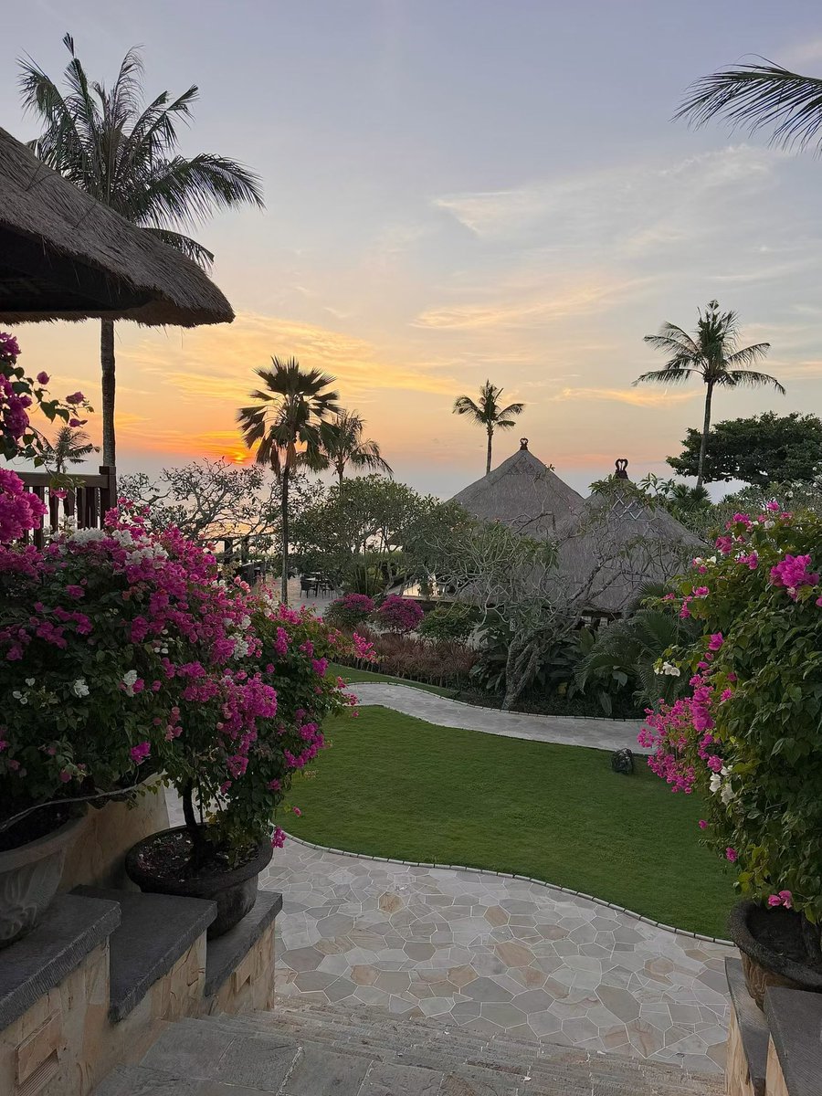 BellaBerry2tu2's tweet photo. 🌴🌸🪺💗✨ https://t.co/TYDLwxcgEr