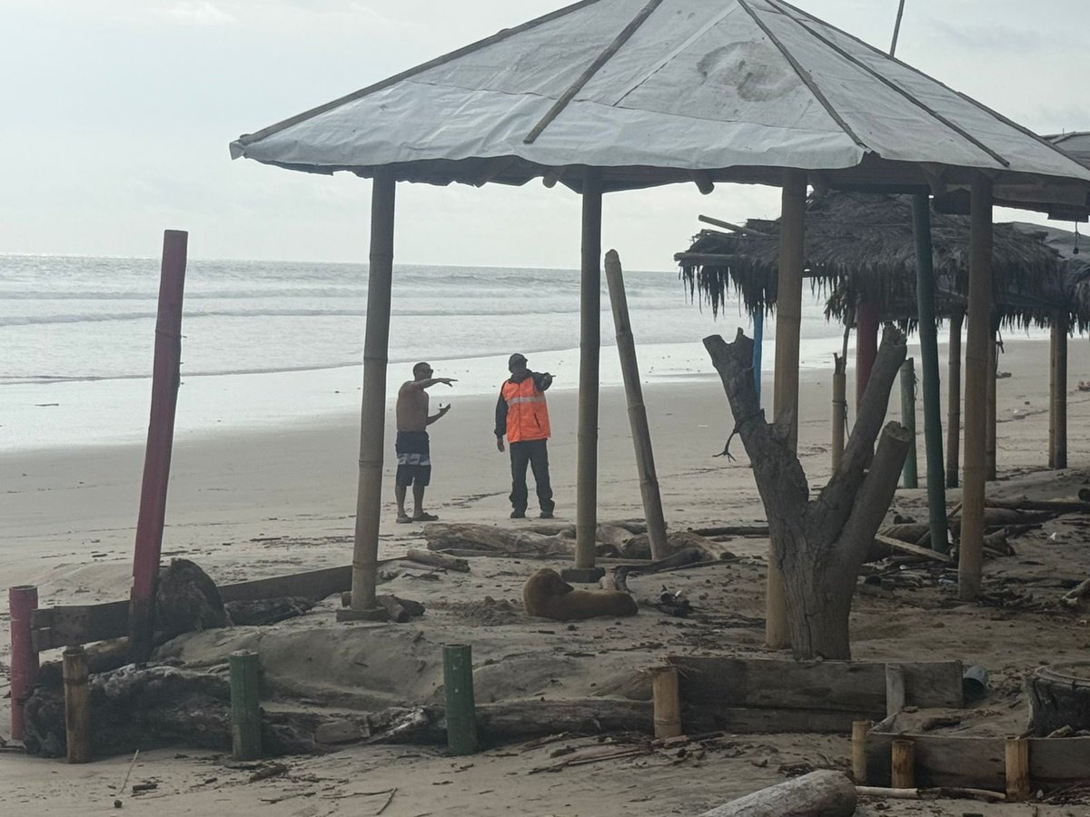 Riesgos_Ec's tweet photo. 📍 #SantaElena 

Ante la presencia de una palizada en el sector de las cabañas de la comuna Libertador Bolívar, parroquia Manglaralto, técnicos de la Secretaría Nacional de Gestión de Riesgos realizan el seguimiento y articulación correspondiente con las instituciones competentes.

Mantenemos monitoreo permanente para precautelar la seguridad de la ciudadanía y reducir riesgos en la zona.

#GobiernoDelEcuador