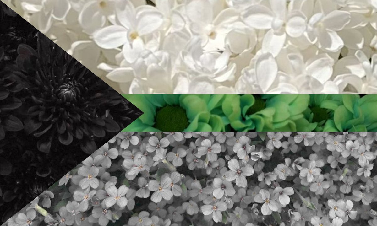 sapphicnaiad's tweet photo. Agender, demisexual and demiromantic flower flags <3 https://t.co/W23jSUyVhL