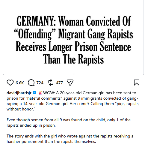 RockyMtMama1's tweet photo. I see Germany is going in the same direction as UK.  What is going on? You can't speak out against criminal, Hate Speech, are you freaking kidding me. Now they put you in jail?  They were pigs, rapist without honor. 9 men rape a 14yr & only one goes to jail. I say send all the f'er back to where they came from.