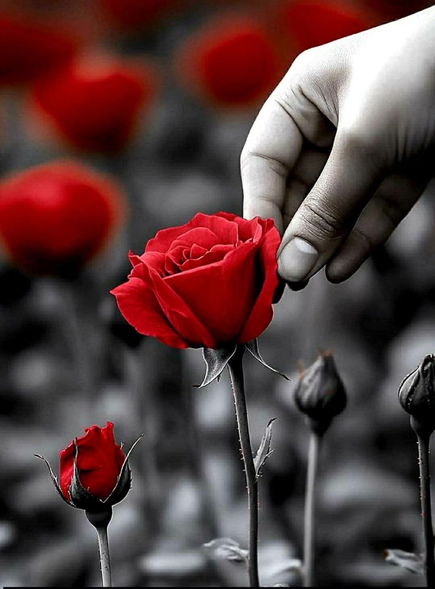 Leader_jed's tweet photo. قالت ..
ونادى منادي
 من أقصى قلبي 
إني أحبك...وأنا لكـ من المغرمين

رد عليها ..
ونادى قلبي ملبياً
كيف لا أكون حاشى والله ، لا أكون

#تمتمة 
#رسالة_لقلبك 
#بوح
#هذيان https://t.co/msOjAZgiLj