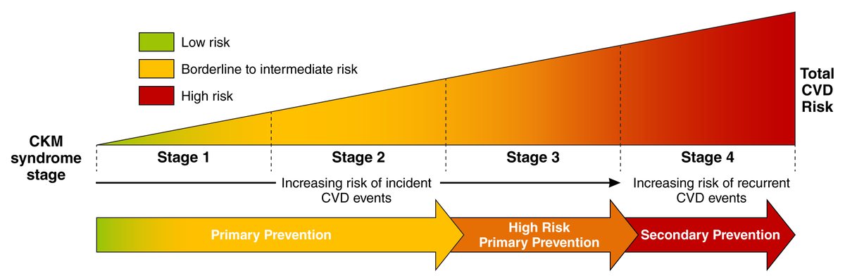 AHAScience's tweet photo. Progression along the spectrum of cardiovascular-kidney-metabolic (CKM) syndrome stages is accompanied by increasing absolute risk of cardiovascular disease. This framework highlights the cumulative and progressive nature of CKM-related risk.

📷 Conceptual crosswalk between absolute risk of cardiovascular disease and cardiovascular-kidney-metabolic syndrome stages

✍🏼  @HeartDocSadiya @RangaswJ @pnatarajanmd @dramitkhera @NicoleBhaveMD @yuan_lu1 @rblument1 @JenHoCariology @virani_md @ChiadiNdumele
