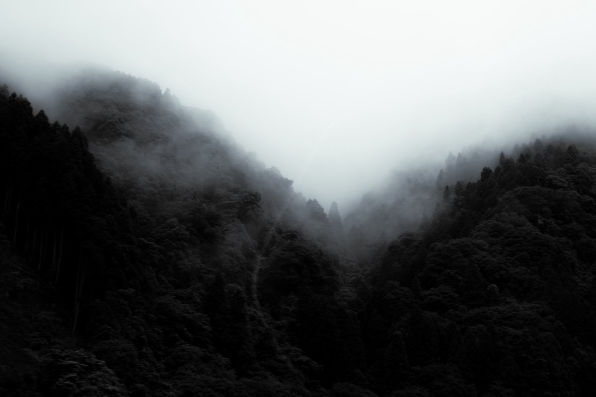 2b_eye's tweet photo. fog
 #canon  #photo  #Photography https://t.co/k3Rt9Hvx4J