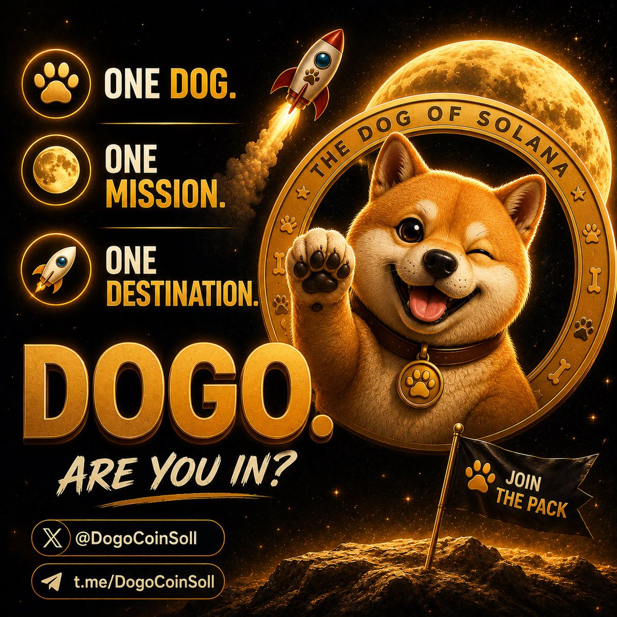 Dogo Coin tweet media