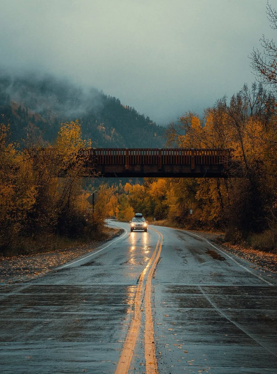 visualsofearth1's tweet photo. Rainy autumn days in Colorado 🍂 https://t.co/1gKZ7BqzS4