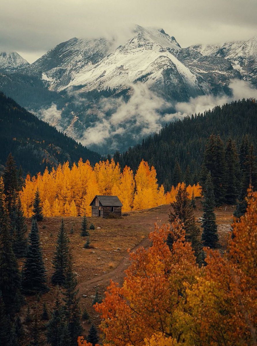 visualsofearth1's tweet photo. Rainy autumn days in Colorado 🍂 https://t.co/1gKZ7BqzS4