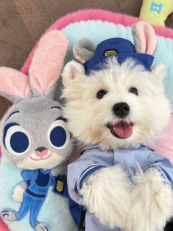 dogssaveworld's tweet photo. Zootopia duo goals 😆❤️ https://t.co/wLjTLQsZ9K