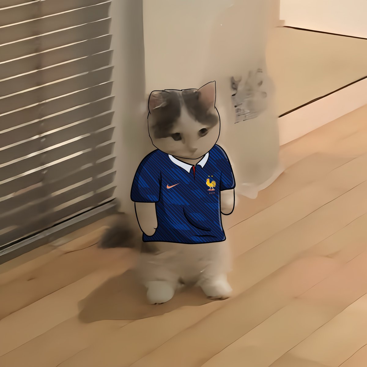 michionsolana's tweet photo. #FIFAWorldCup #GroupI:

🇫🇷France
🇸🇳Senegal
🇮🇶Iraq
🇳🇴Norway https://t.co/r2j5aQGn5M