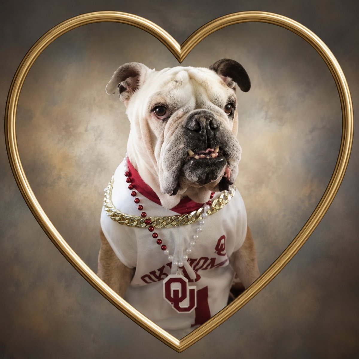 PugnatiousG's tweet photo. We have changed our profile picture to honor Baker @Lil_Fen who crossed the Rainbow Bridge last weekend. We want to thank Bakers family for sharing him with us and for all the kindness and love they have shown to our all of us in our AniPal community. Run Free sweet friend! 🌈🕯️ https://t.co/2Zshukq7Pg