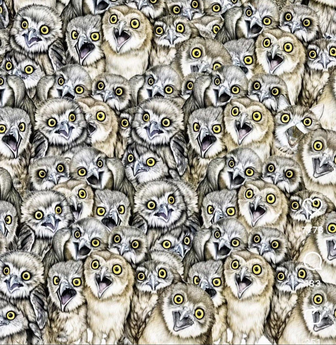 KeyserSozeTM's tweet photo. Find the cat https://t.co/xDk8X2k6Wq
