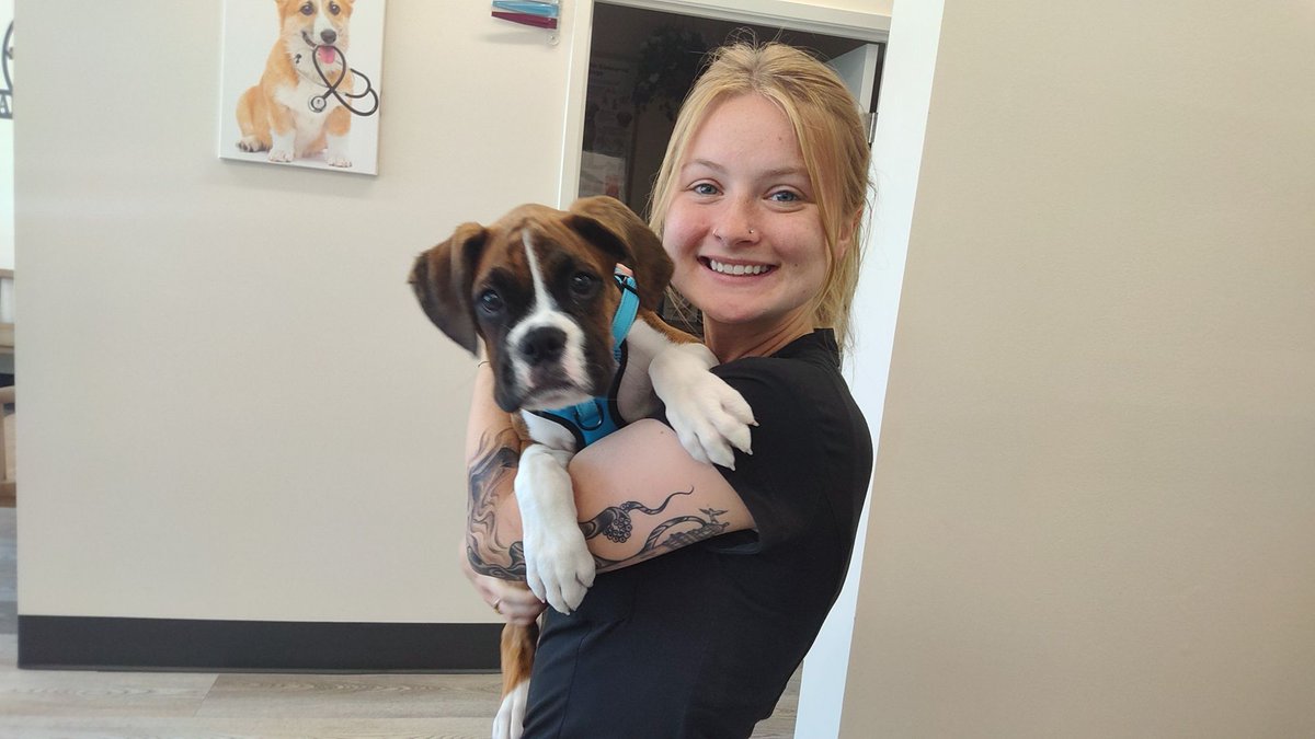 EdenAnimalSC's tweet photo. Jake came in looking for treats, cuddles, and five-star service… and we were happy to deliver! 🐾💛

✨ June Promotion: Receive 10% OFF your pet’s exam throughout June. Schedule your appointment today! https://t.co/T69cPoTY6a
