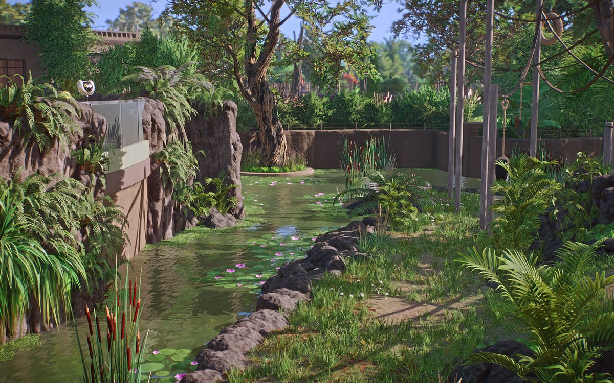 AtlasBlogger's tweet photo. Today we are completely transforming the old capybara habitat into a lush island for the Lion-Tailed Macaques!🌿 The habitat is surrounded by a beautiful water moat filled with lily pads and tall reeds.🪷 
#planetzoo https://t.co/hXjpZUqZTw