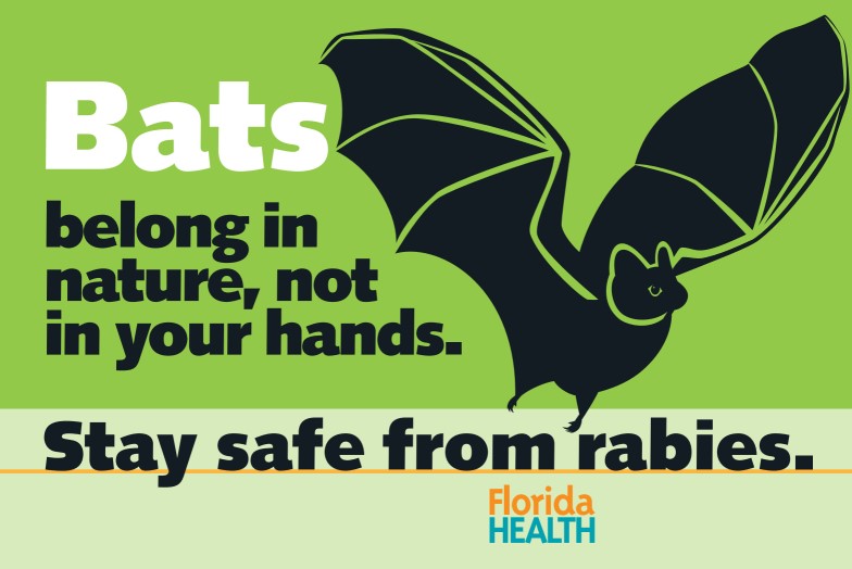 DohOrange's tweet photo. Bats belong in nature, not in your hands.

Did you know bats can carry rabies?

Protect yourself and your pets with these tips:
▪️Never handle bats
▪️Make sure your pets are current on their #rabies vaccine
▪️Cover windows with screens and secure any openings to your roof https://t.co/HbCoUq8Z0S