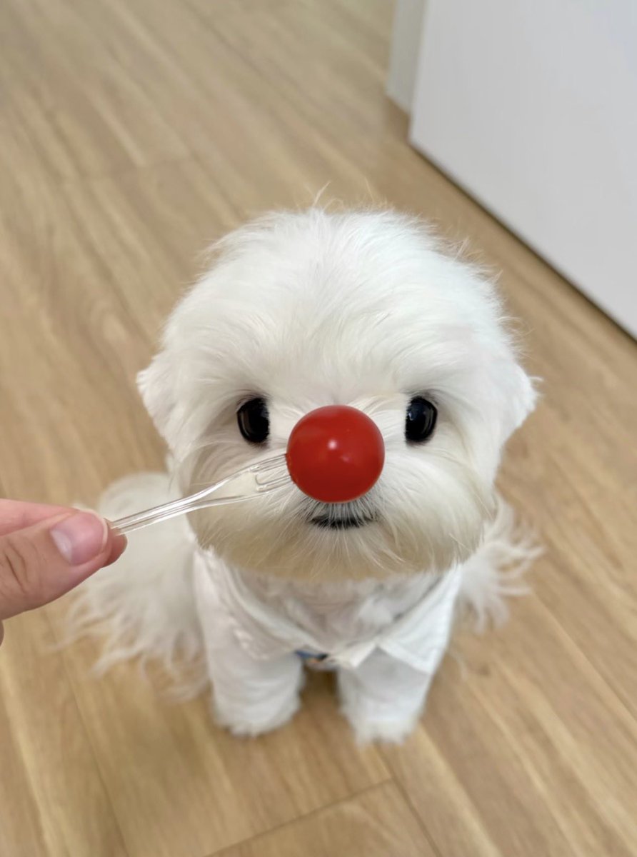 urmywaveliyu's tweet photo. 립뭉이 https://t.co/gnUB7rEM4L
