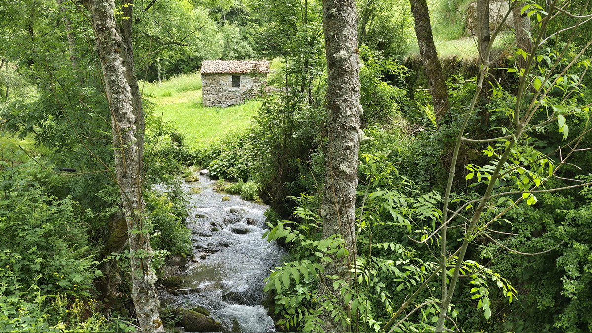sendadelhayedo's tweet photo. Arquitectura somedana.
Perfectamente adaptada al medio y en consonancia con el paisaje. 

Por algo Somiedo es Somiedo, y no solo por el Oso o los lagos.

#Asturias 
#rural https://t.co/T00GhHUWuL
