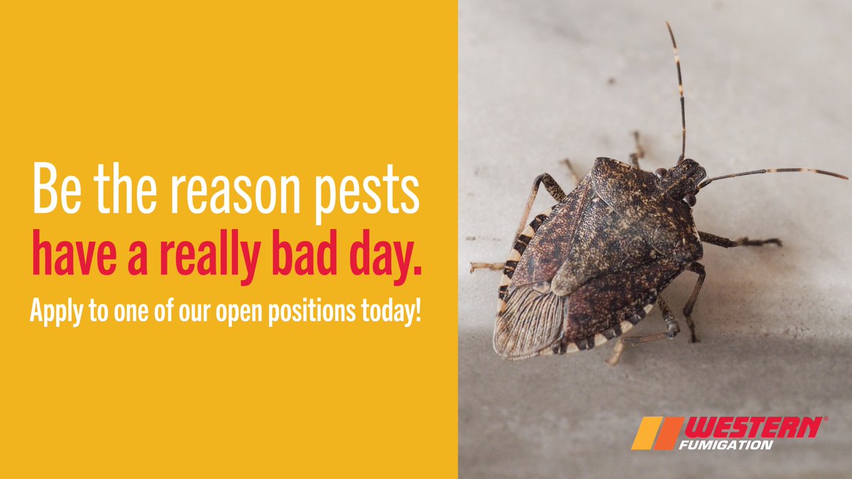 WFumigation's tweet photo. Invasive species don’t stand a chance when Western Fumigation is on the job. Join our team as a technician and build a hands-on career with growth opportunities, competitive pay, and meaningful work that protects our community. Apply now: https://t.co/wH00BoTyzq https://t.co/GJ4IuGlYGJ