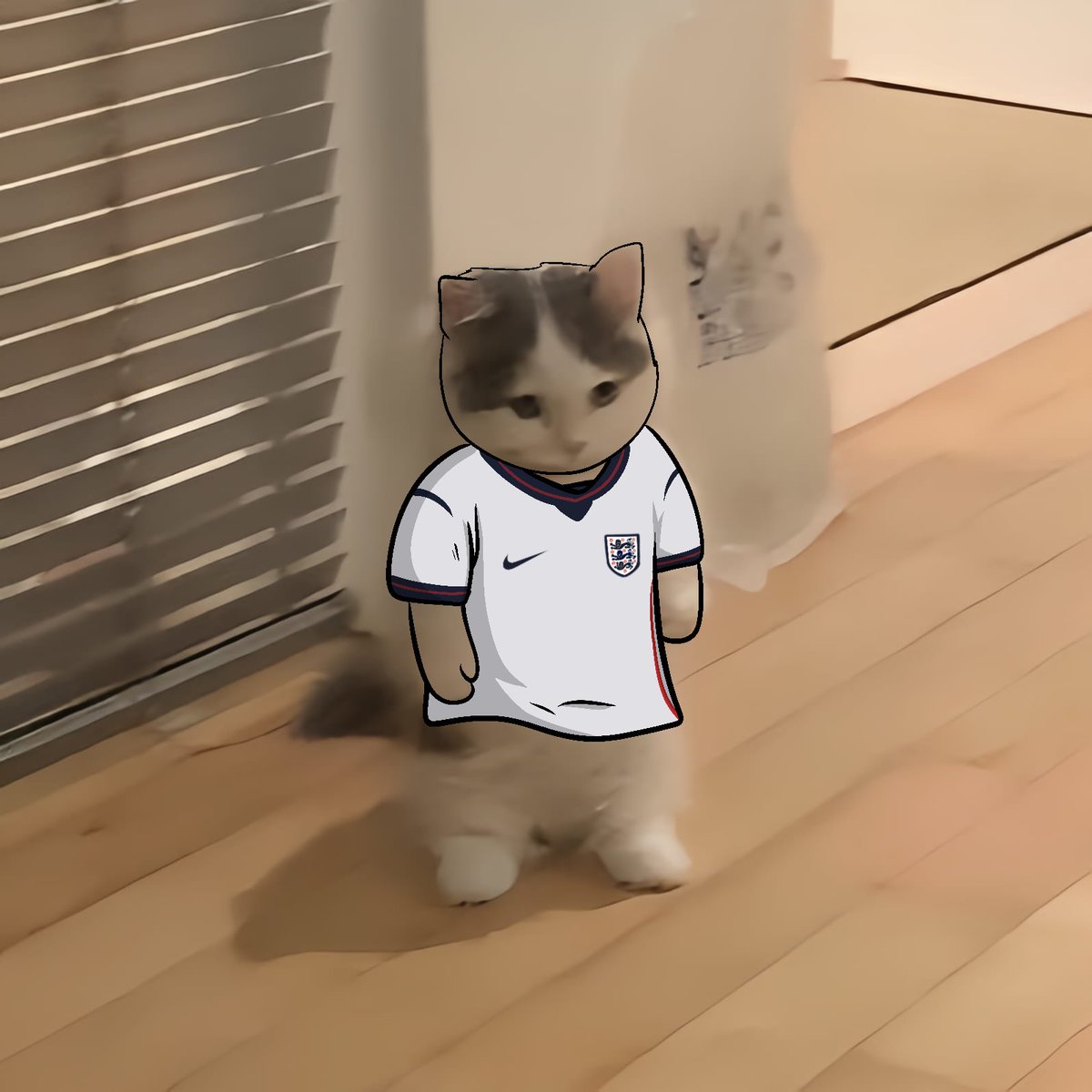 michionsolana's tweet photo. #FIFAWorldCup #GroupL:

🏴󠁧󠁢󠁥󠁮󠁧󠁿England
🇭🇷Croatia
🇬🇭Ghana
🇵🇦Panama https://t.co/Lgk4iTzVnF