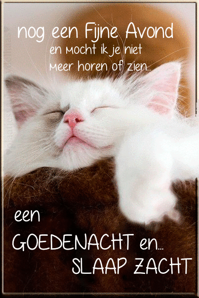 OreSabre's tweet photo. @FritstenHove https://t.co/cYHIpl4BFf