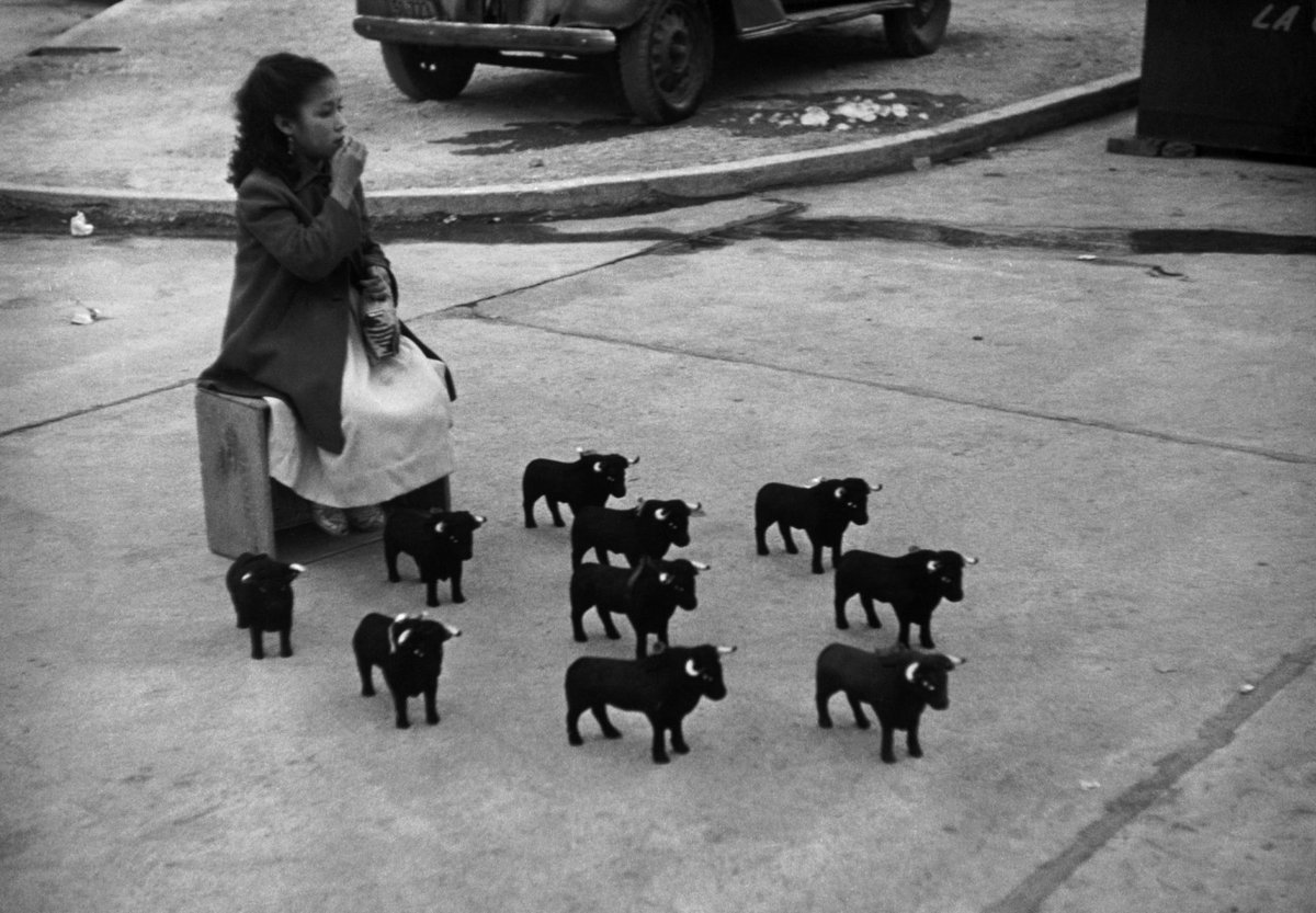 vintagestuff4's tweet photo. Bullfight souvenirs
Mexico city
Werner Bischof
1954 https://t.co/gkGAkLcL3D