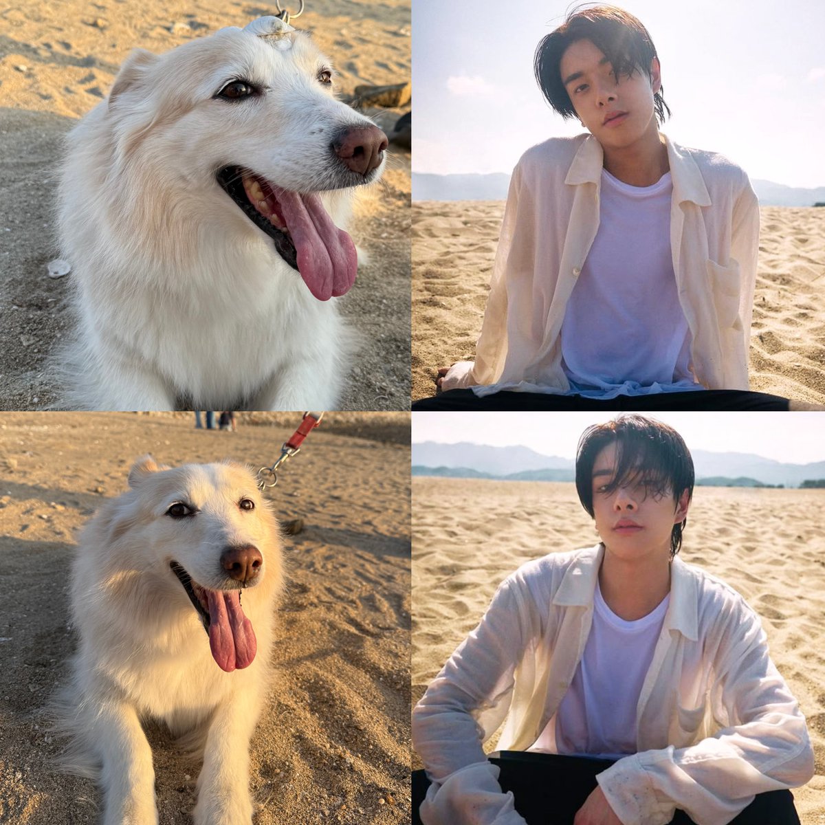 jakeyclub's tweet photo. jayla 𓇼｡°‧🏝️🐶˚⋆ https://t.co/BPdfqwqLX6