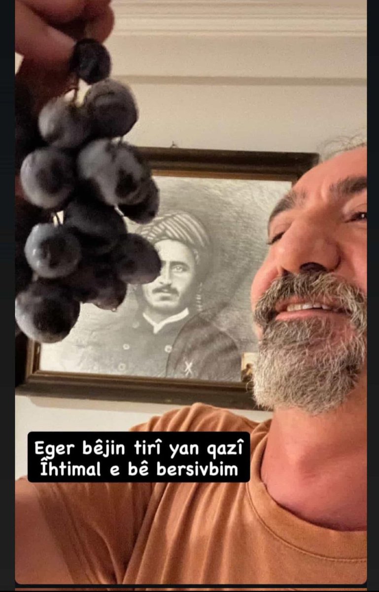 arî | (nû) tweet media