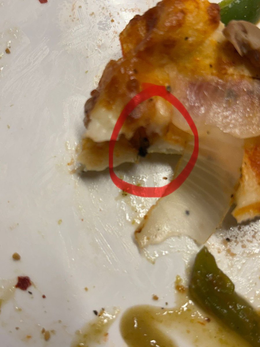 mishutosh's tweet photo. @dominos_india Found a fly inside my pizza from your Express Garden Market, Indirapuram, Ghaziabad store 🤢
Order No: 58
This is a shocking food safety &amp; hygiene lapse. Attaching proof.
Need immediate action: investigation, strict measures, apology &amp; compensation.
Please respond https://t.co/ckr5i56L5g