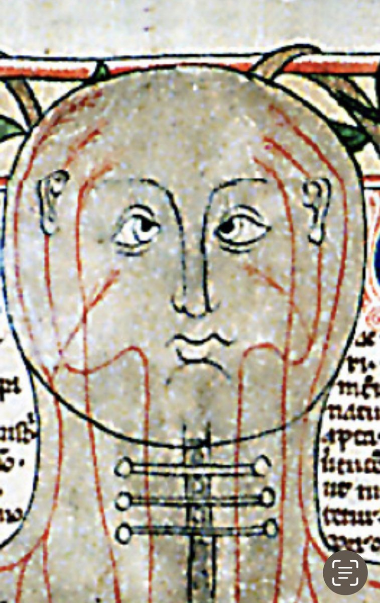 1973E9's tweet photo. Andy Millman, the character played by @rickygervais in Extras, was foretold in this medieval anatomical chart https://t.co/J17A8KD8R4