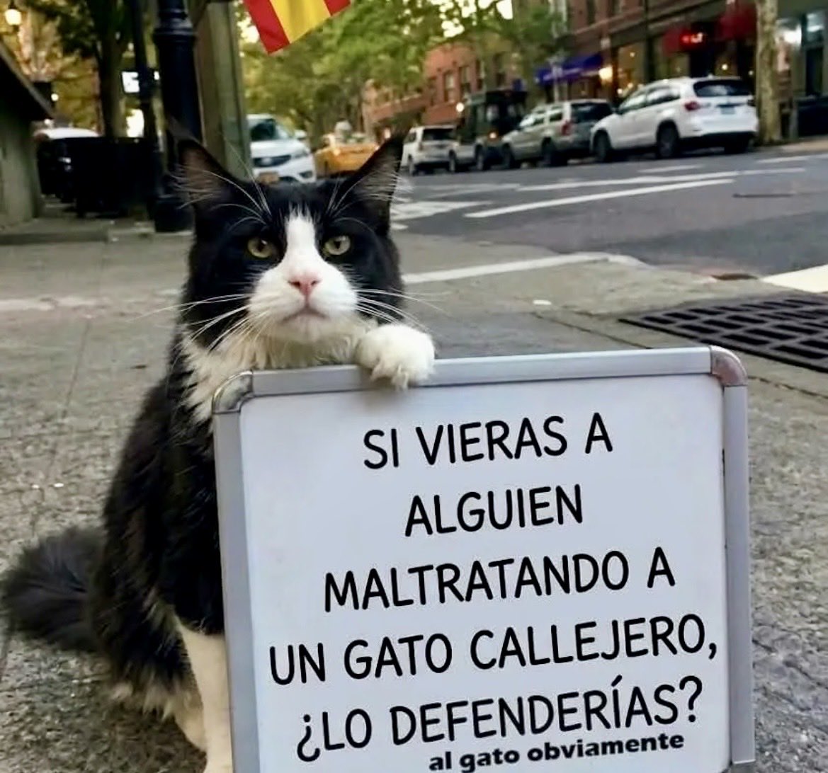 nicovillegas8's tweet photo. ….?       SI LAS LEO https://t.co/N2AKkH6hQc