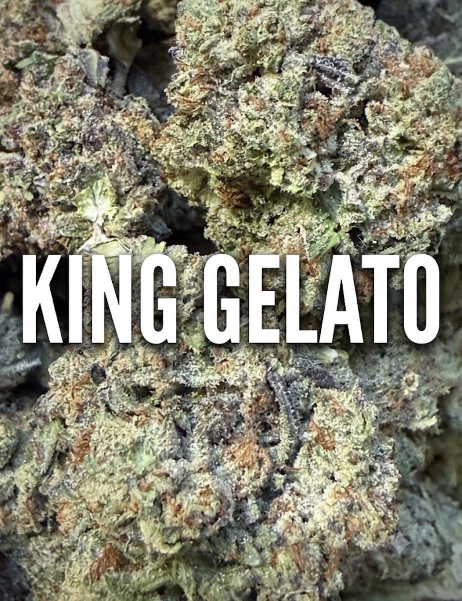 StealthSteppin's tweet photo. Pluto out 🚀 King Gelato in 🫡💨💨
#lightdep #DoorStepAction 📦 DM 🗣️
DoorStepDeals @ https://t.co/lMD4VcvWhg https://t.co/6mQT3NiSSq