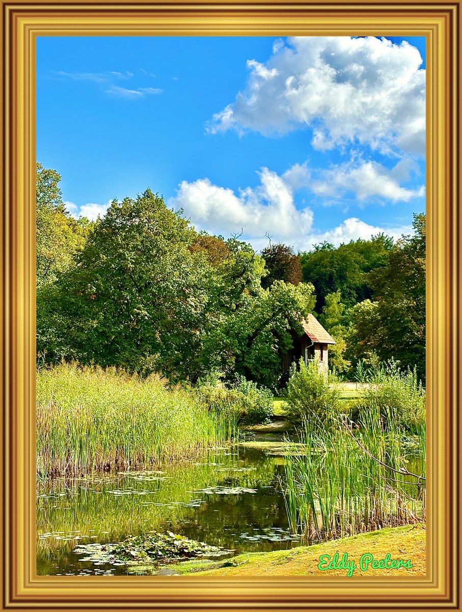 Pddy1's tweet photo. @muamnkaujlig Like a painting 🖼️ 📸 https://t.co/AnmAsDjYM0