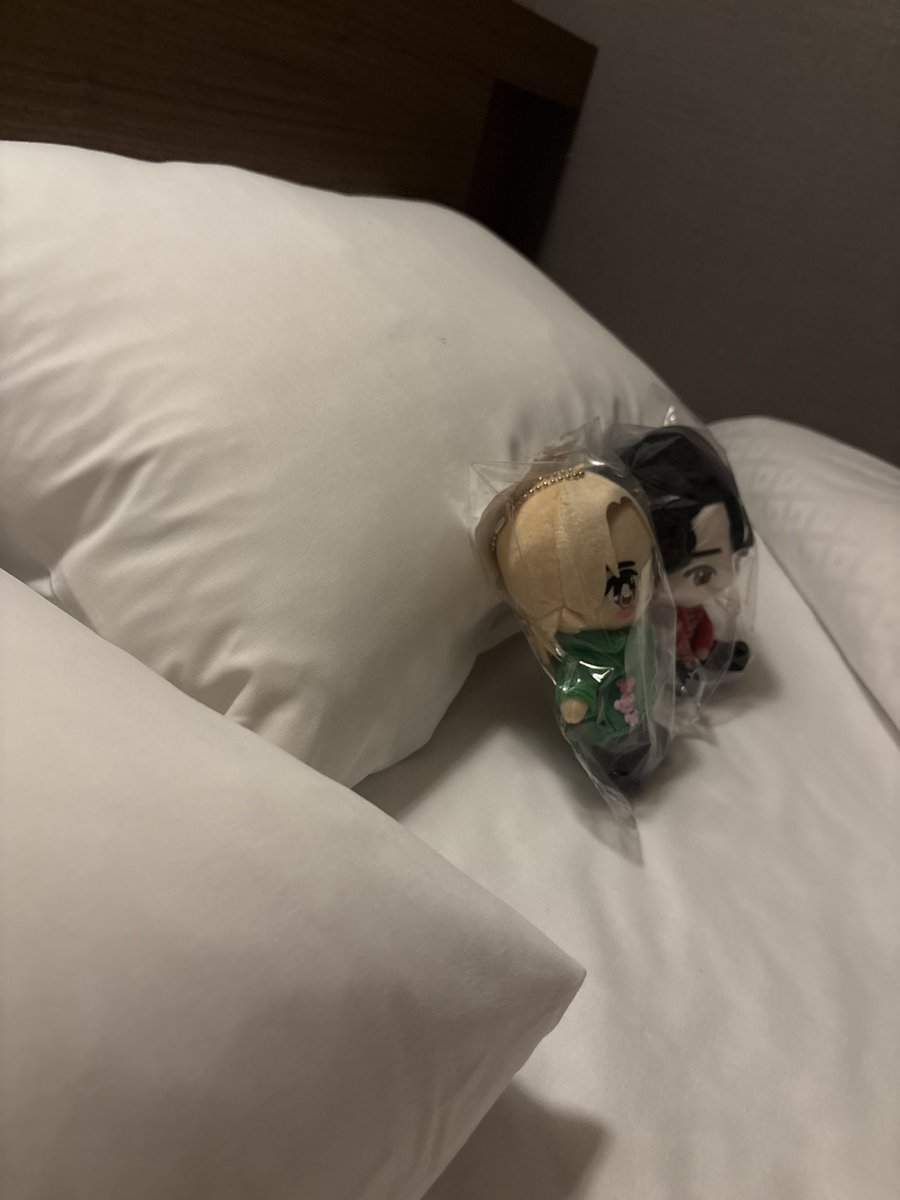 ru__sub__'s tweet photo. 本当に眠れない
推したちは隣で見守っててくれてます
(志歩はバッグの中で日中近くで見守ってくれてる) https://t.co/uXUmzr90fj