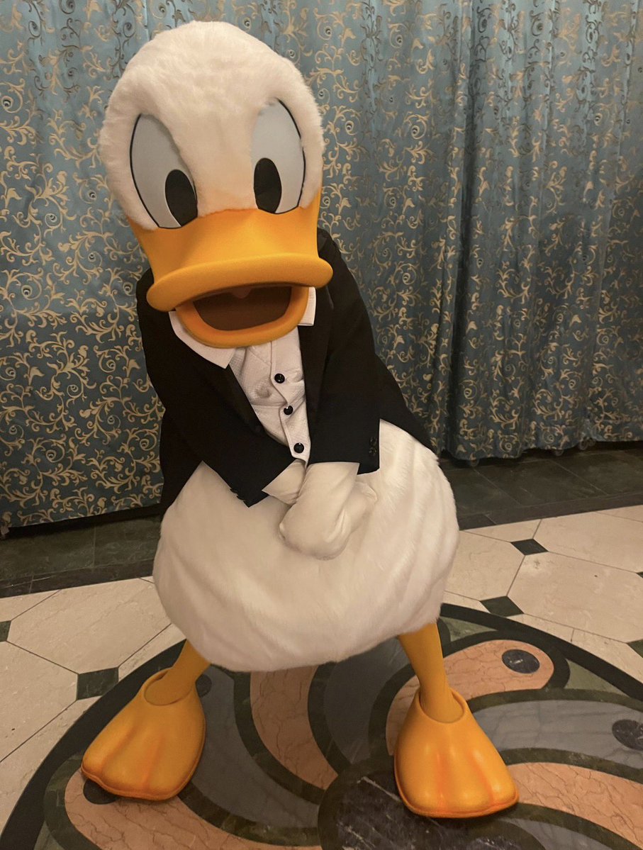 KingofToons tweet picture