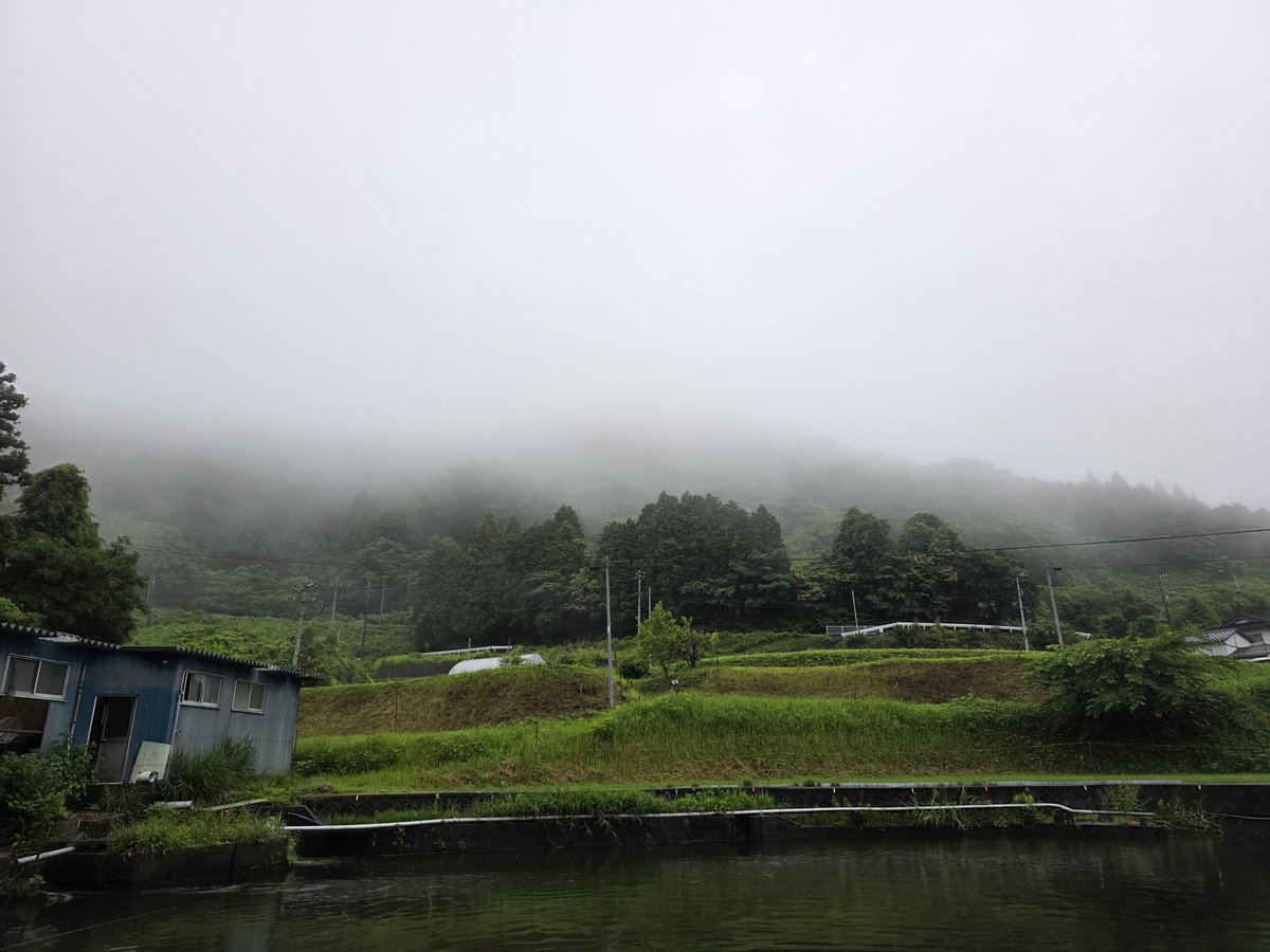 kantsuri55's tweet photo. 6月9日は火曜日カップに参加。曇りになるはずだったのに終日雨。釣果はイマイチだけど、珍しくじゃんけん大会で勝って景品GET！家に帰って雨に濡れたシステムトレーを乾かしている間に寝てしまった。 https://t.co/RMCB9Xc8Jj