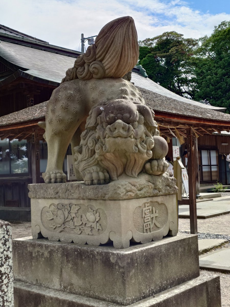 Arine1124's tweet photo. 松江神社の狛犬かなり可愛かった https://t.co/hv5VAzDIDx