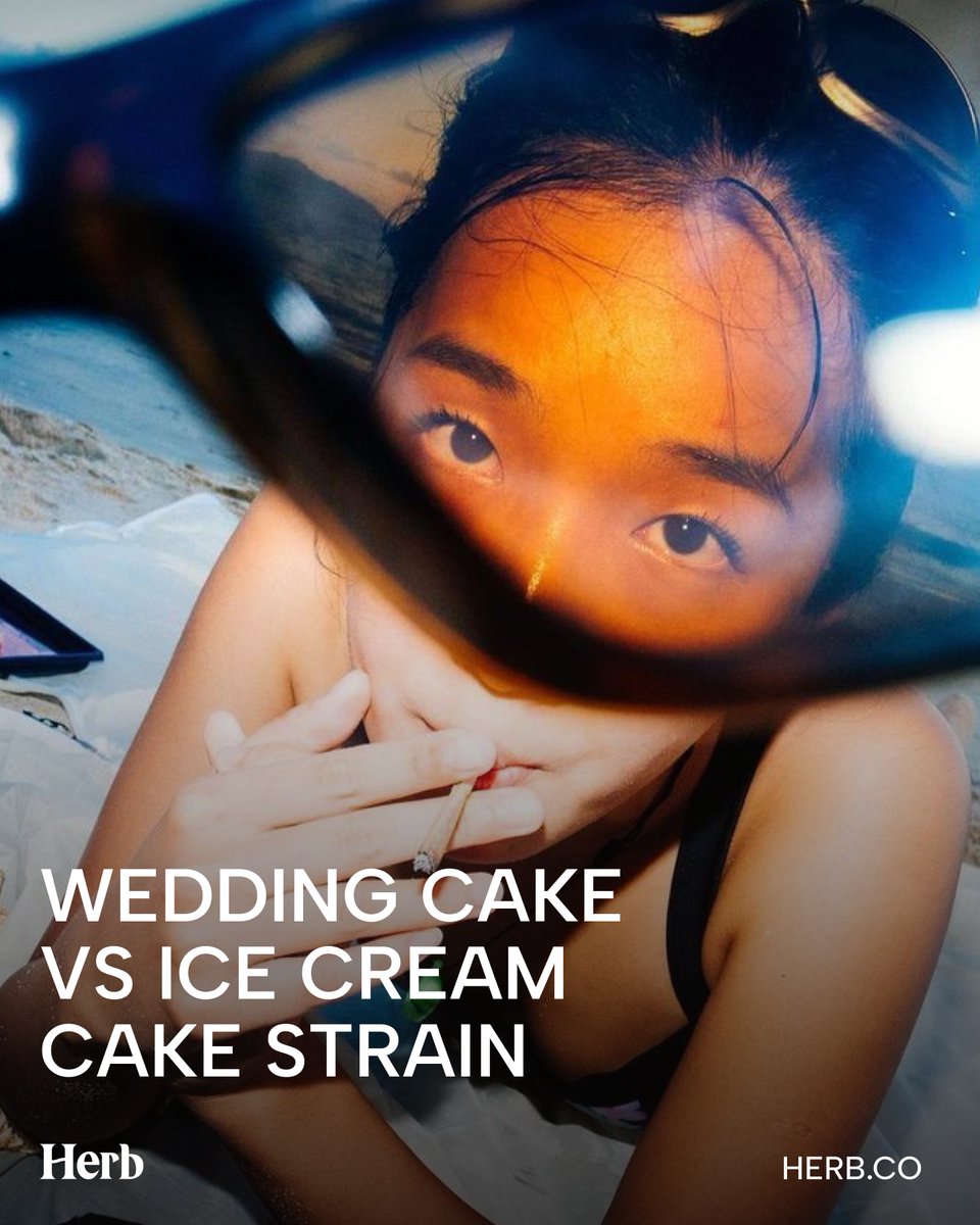 Herbworthy's tweet photo. Two dessert strains walk into a dispensary..

Wedding Cake vs Ice Cream Cake. Both hit 23–27% T*HC, both going to make you hungry. But they’re not the same experience.

Here’s the quick breakdown:
