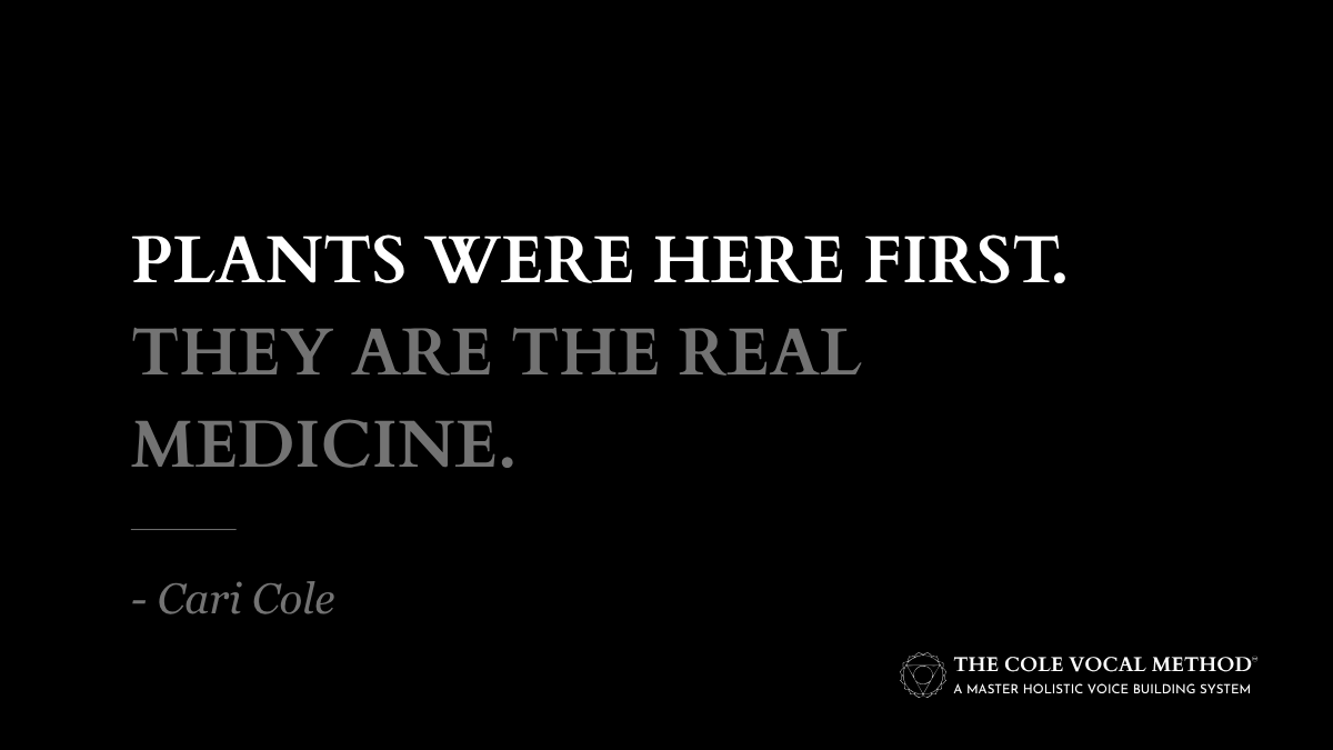 CariCole's tweet photo. Plants were here first. They are the real medicine.

For chronic vocal issues — the recurring hoarseness, the inflammation that won't fully clear, the fatigue that sets in earlier than it used to — the pharmaceutical answer only treats the symptoms.

The plant medicine answer is almost always repair.

One of those approaches builds a voice that lasts 40 years.