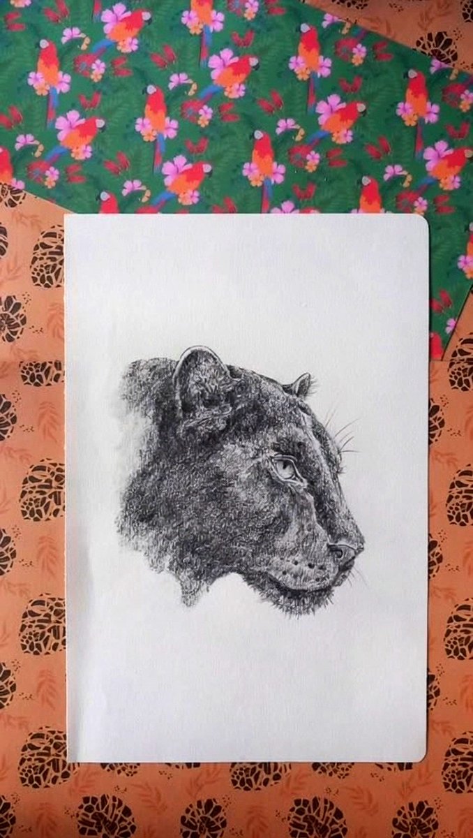 AzzurraS4's tweet photo. Black panther pencil drawing🖤🖤🖤🖤🖤🖤🖤🖤🖼🎨🖼🎨🖼🎨🖼🎨 https://t.co/APdSU6fR1U